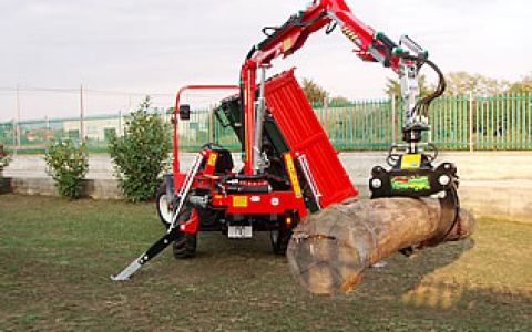 motoagricole-goldoni-14.jpg