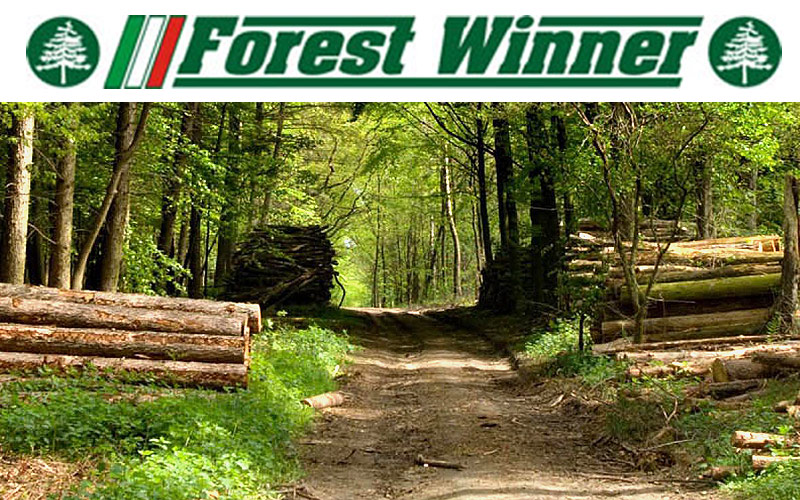 Linea Forestale